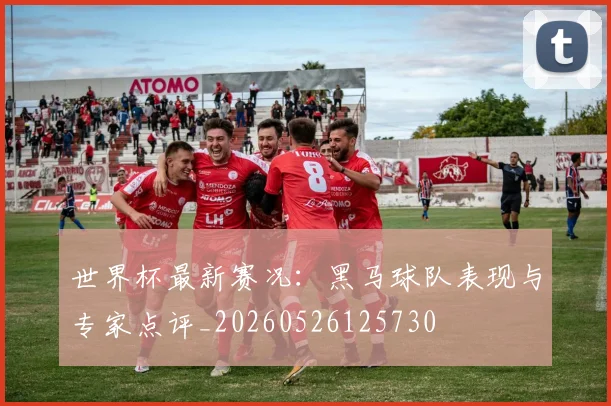 世界杯最新赛况：黑马球队表现与专家点评_20260526125730