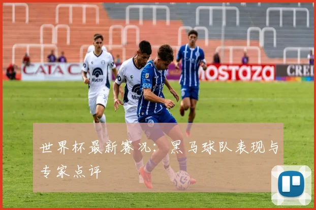 世界杯最新赛况：黑马球队表现与专家点评